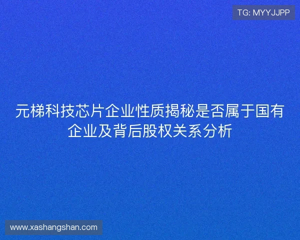 元梯科技芯片企业性质揭秘是否属于国有企业及背后股权关系分析